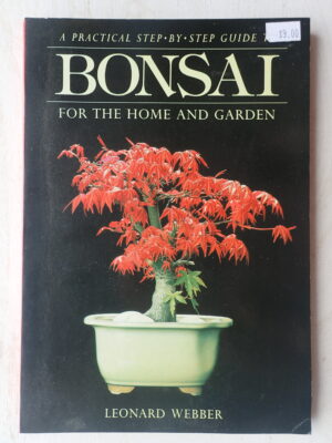 A Practical Step-by-Step Guide to Bonsai