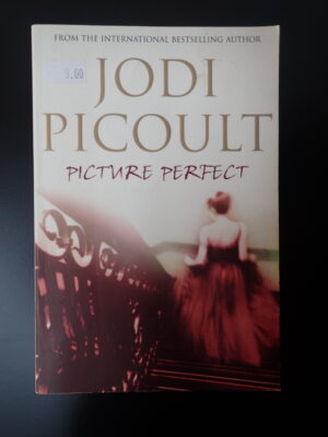 Picture Perfect